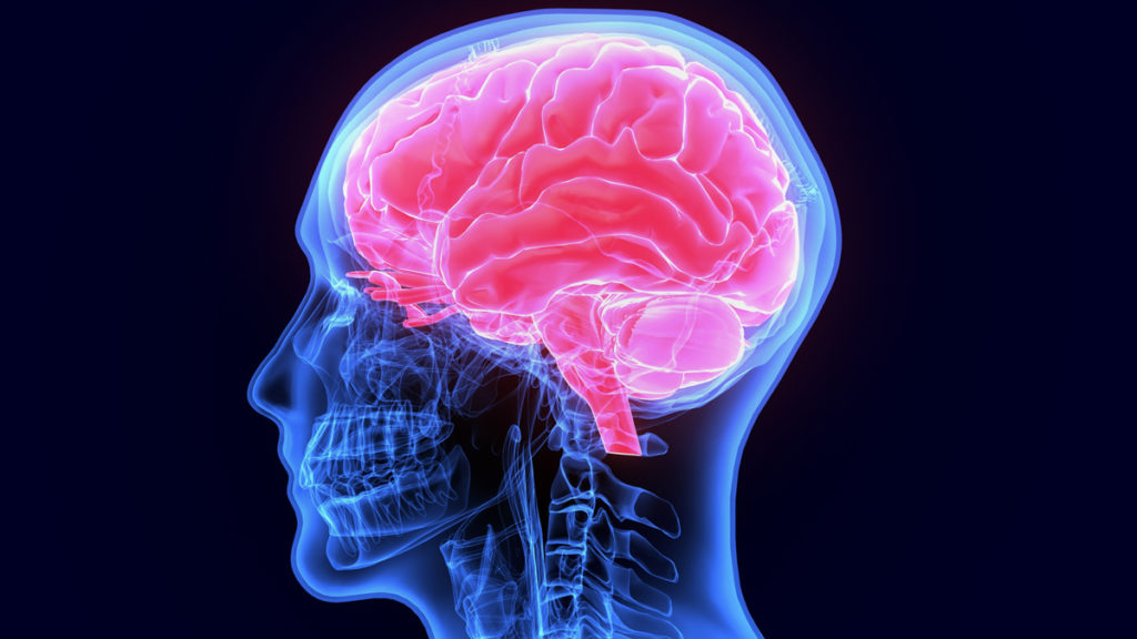 does alcohol cause brain damage?